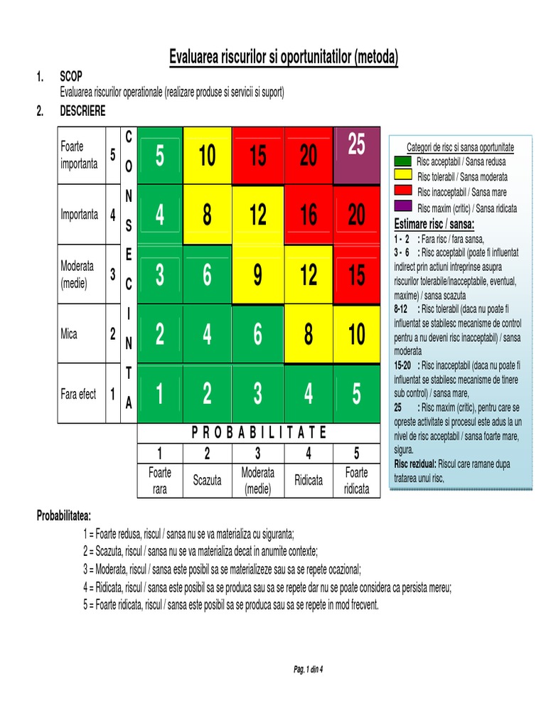 01 Evaluarea Si Tratarea Riscurilor Si A Oportunitatilor 1