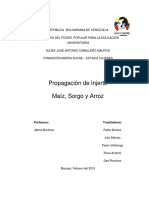 Propagación de cultivos y cosecha de maíz, sorgo y arroz