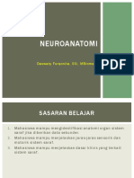 KP Anatomi Neuroanatomi 2016 KR