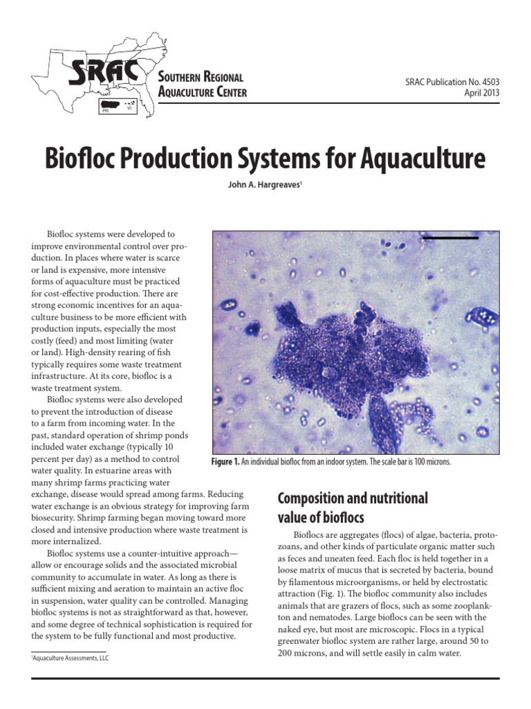 Biofloc Production Systems For Aquaculture PDF | PDF | Bacteria | Ammonia