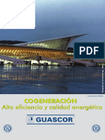 Catálogo aplicación cogeneracion Guascor.pdf