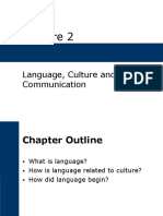 Language, Culture and Communication