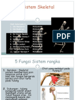 Skeletal System Powerpoint