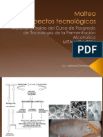 Aspectos Tecnologios Etapas Malteo PDF