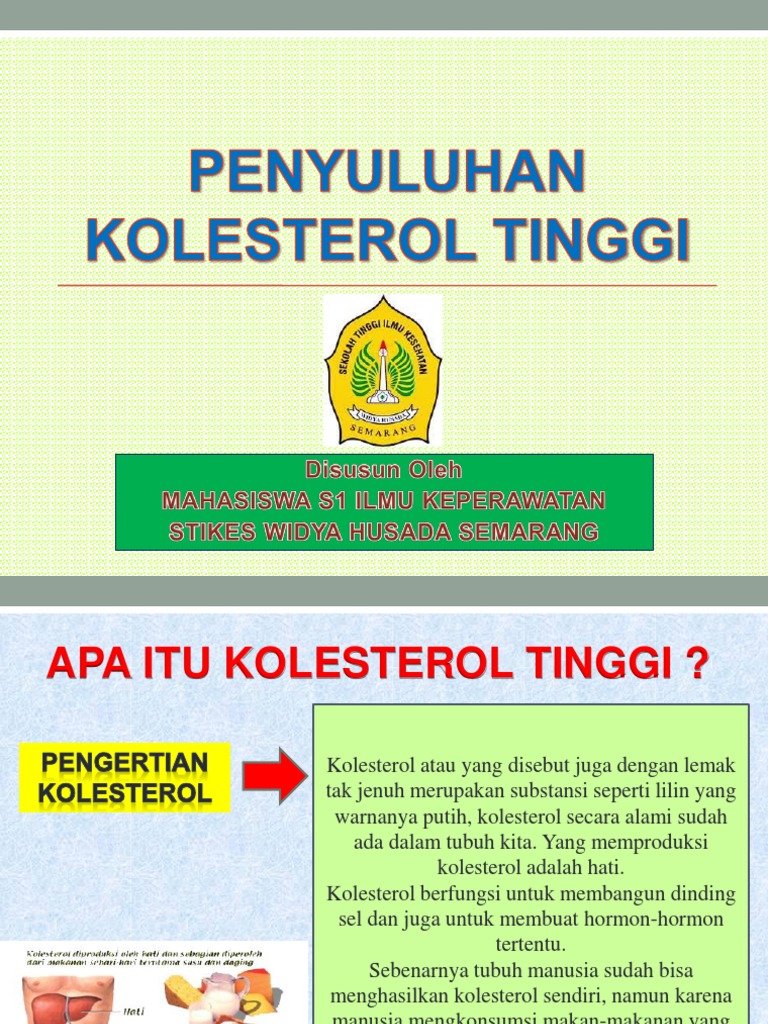 Penyuluhan Kolesterol Tinggi Pdf