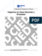 CIED PDVSA - Registros en Hoyo Desnudo y Entubado.pdf