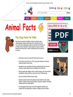 Animal Facts For Kids