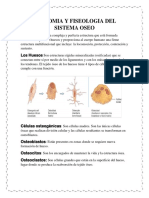 ANATOMIA Y FISEOLOGIA DEL SISTEMA OSEO.docx