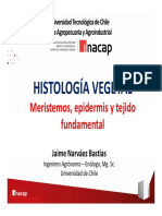 Elementos de Anatomía y Fisiología Vegetal 63 - Meristemos, Epidermis y Tejido Fundamental