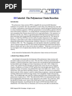Download Polymerase Chain Reaction by Guadalupe Berber SN38273543 doc pdf