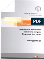 Informe Investigacion Especial 480-15 Conadi Los Lagos Eventuales Irregularidades en Licitacion Publica - Junio 2015