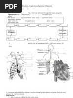 CBSE Class 3 EVS Practice Worksheets (73)-Revision | Soil | Blood