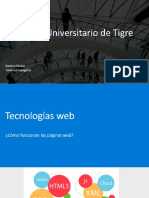 Presentacion Tigre 2