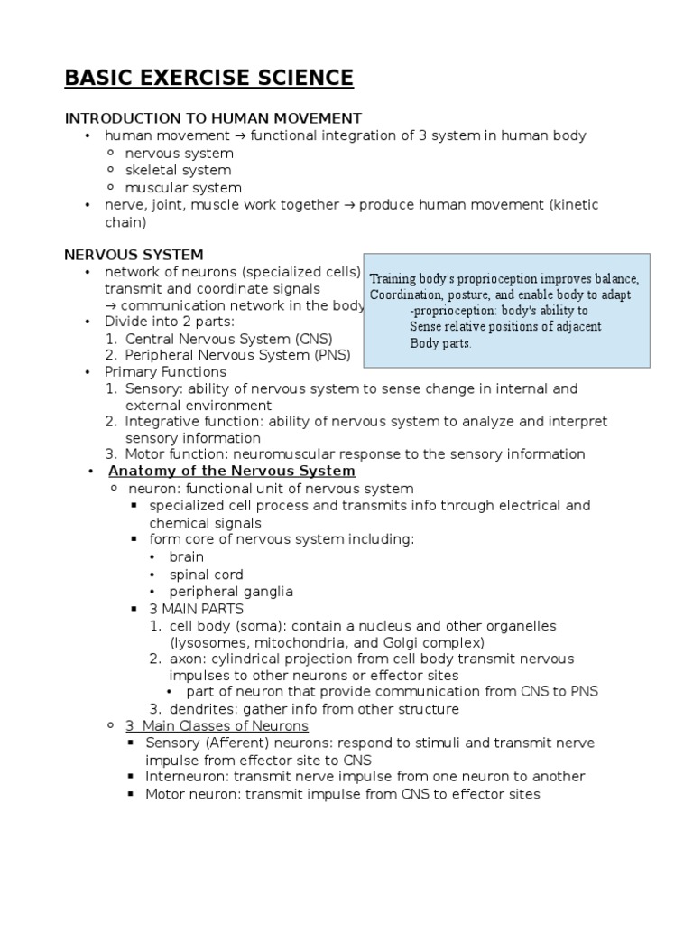 Introduction to Human Movement Science | PDF | Nervous System ...