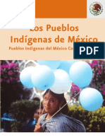 Monografia Nacional Pueblos Indigenas Mexico
