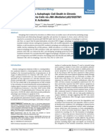 Resveratrol Promotes Autophagic Cell Death in Chronic Myelogenous Leukemia Cells Via JNK-Mediated p62/SQSTM1 Expression and AMPK Activation