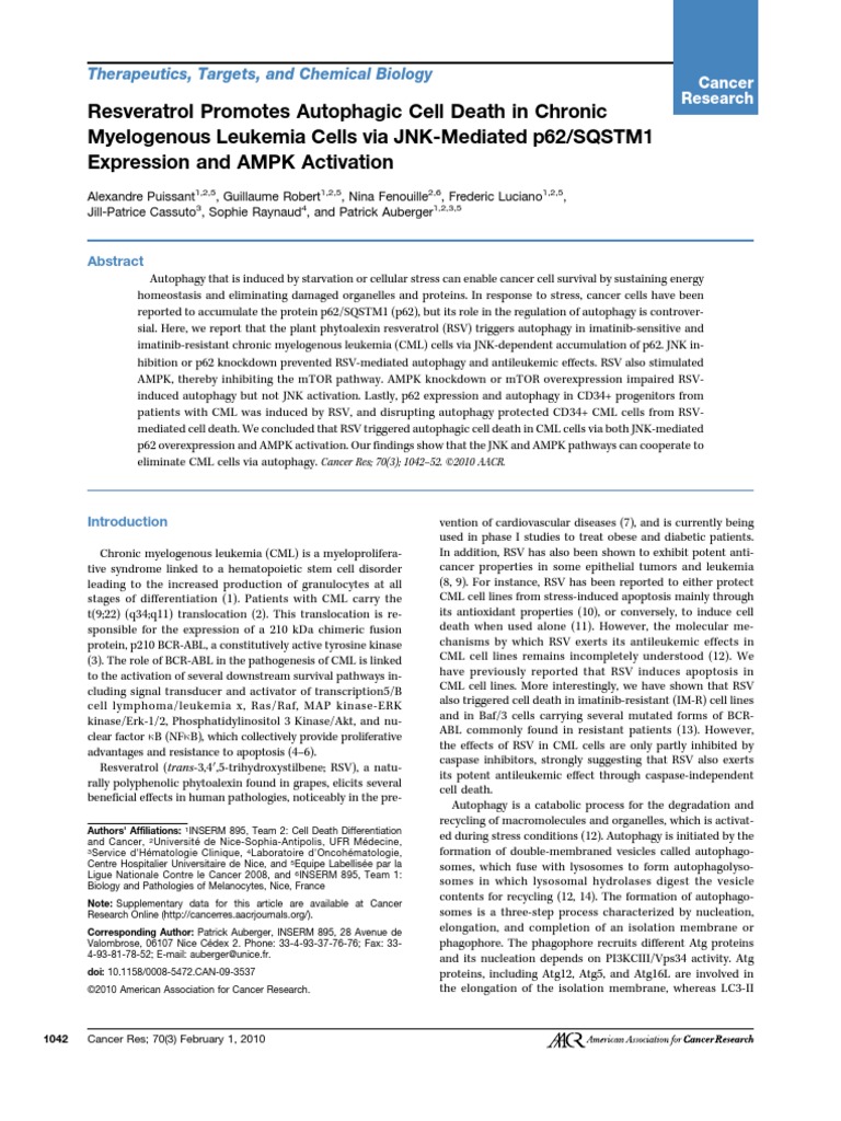 Resveratrol Promotes Autophagic Cell Death in Chronic Myelogenous