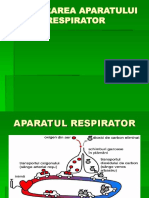 2. Explorarea Aparatului Respirator