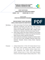 SK Penetapan Struktur Organisasi PKM - 2018 PDF