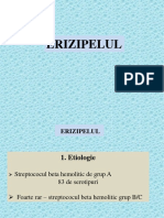 ERIZIPEL