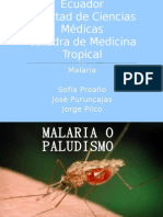 Exposición Malaria