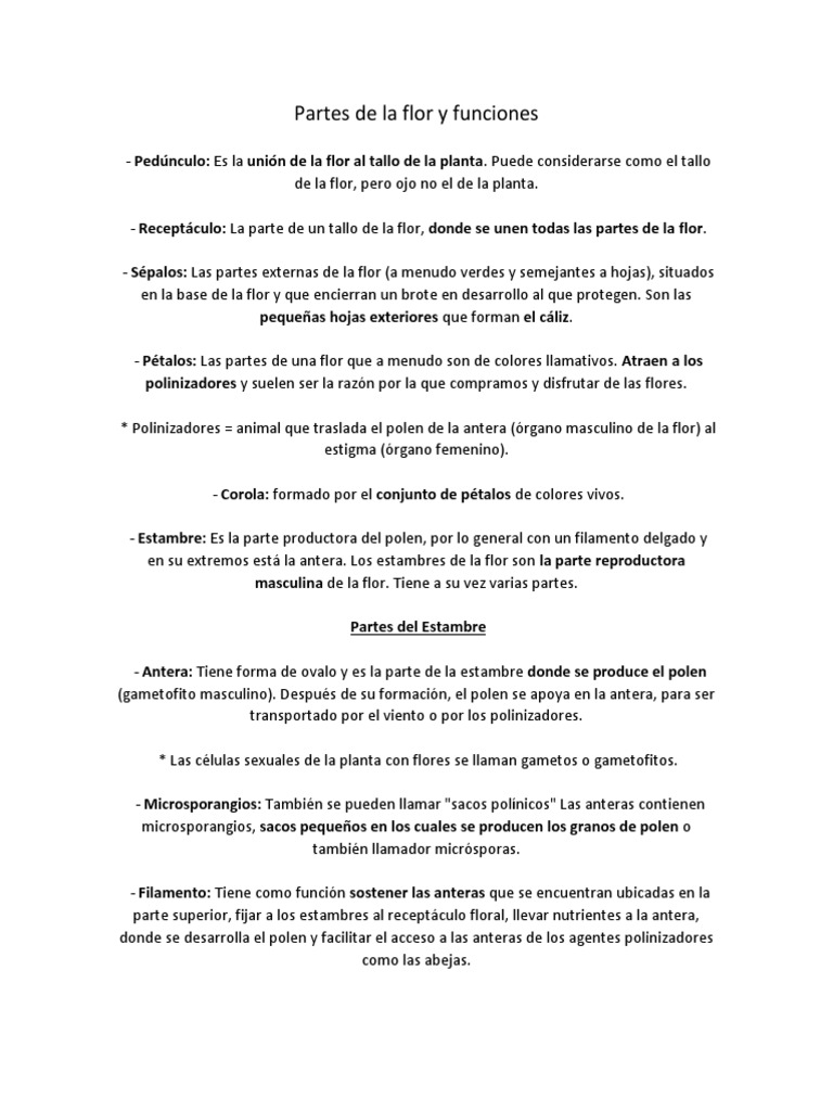 Partes y funciones de la flor | PDF | Polen | Flores