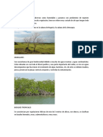 Ecosistemas Colombiano