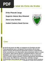 seminário ciclo de krebs