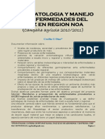 sintomatologia y manejo de enfermedades del maiz en region noa.pdf