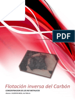 Flotacion Inversa Carbon