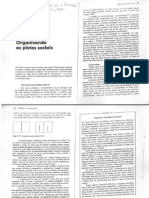 Statt - Cap. 13 - Organizando As Pistas Sociais