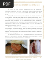 6. Borda-Pele Periferida-Infec+º+úo