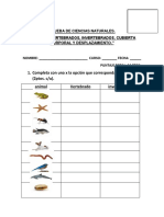 U1 Prueba de Ciencias 2°básico