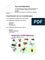 Los Animales Invertebrados