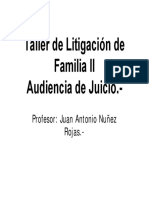 Taller de Litigación de Familia II (Audiencia de Juicio)