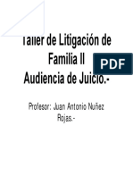 Taller Litigación Familia II