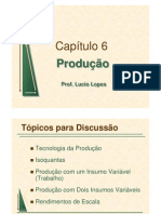 Slides Capitulo 6