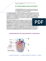 caries.pdf