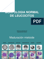 Morfologia Normal de Leucocitos