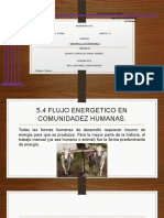 5.4 Flujo Energetico