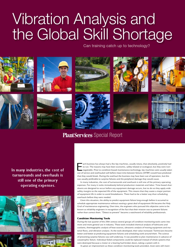 Mobius Vibration Analysis Global Skill Shortage | Download Free PDF ...