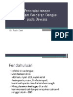 dhf.pdf