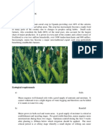 MAIZE Production guide NAADS.pdf
