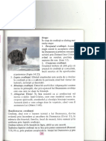 Credinta.2 Rotated PDF
