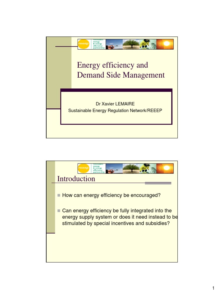 Energy Efficiency and Demand Side Management: DR Xavier LEMAIRE ...