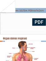 Anatomi Sistem Pernafasan Tutor