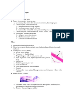 Connective Tissue Matrix and Fibers