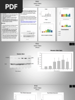 ePosterBoards+Template+Single
