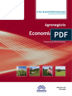 04 - Livro Economia Rural.pdf
