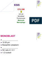 Agranulocytes Students Copy Part 2